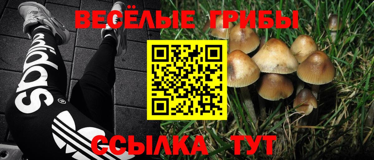Гусиноозёрск  Псилоцибиновые грибы Magic Shrooms  Вход с VPN 