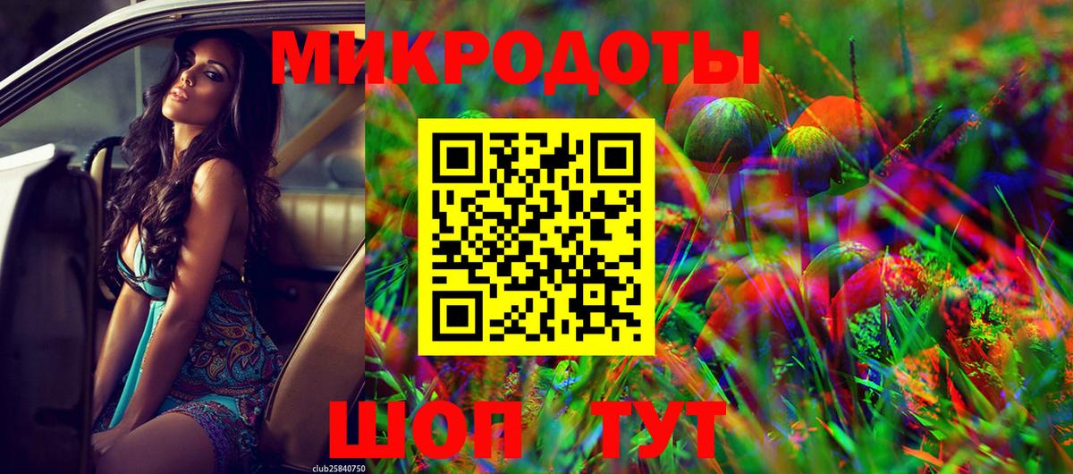 Галлюциногенные грибы Psilocybe Гусиноозёрск